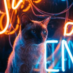 вечерняя иллюминация бурмы